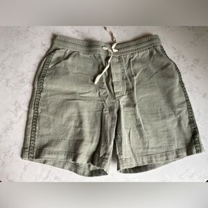 Marine Layer Green Flat Front Men Shorts